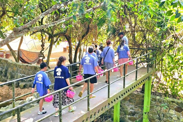 Hands-On Elephant Care in Koh Samui: Half-Day Oasis Experience photo 4