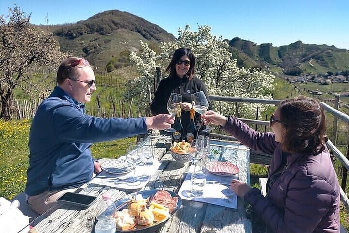 Prosecco Hills Full-Day Wine Tasting from Venice: Two Wineries & Lunch photo 2