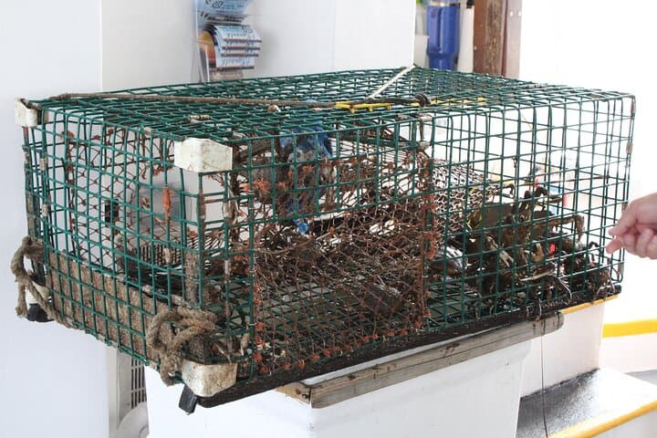 Lobstering Eco Tour in Plymouth Harbor: Hands-On Lobster Trap Experience photo 3