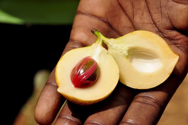 Zanzibar Spice Farm & Stone Town Walking Tour — History, Flavors & Local Life photo 5