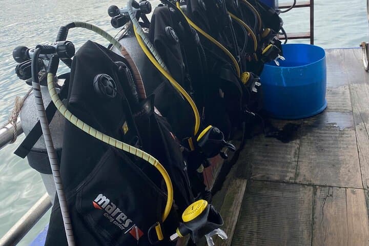 Nha Trang Marine Park: Two Guided Beginner Scuba Dives to Coral Reefs photo 5