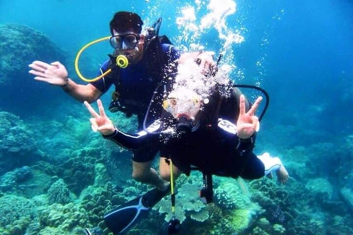 Nha Trang Marine Park: Two Guided Beginner Scuba Dives to Coral Reefs photo 6