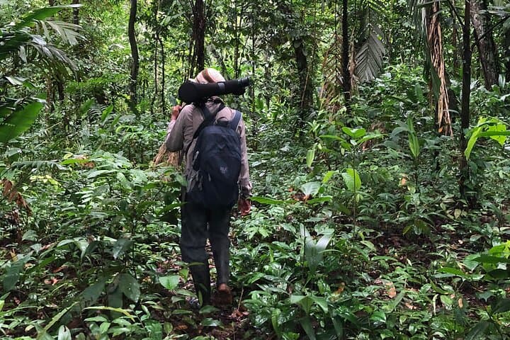 Gandoca-Manzanillo Refuge Guided Hike: Rainforest Trails, Mangroves & Beaches photo 6