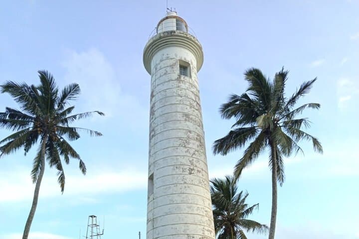 Galle Fort & Bentota Day Tour: Galle Lighthouse, Madu River & Turtle Hatchery photo 3