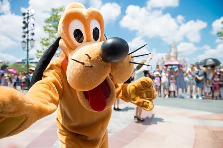 Private Luxury Transfer and One-Day Disneyland Paris Experience photo 3