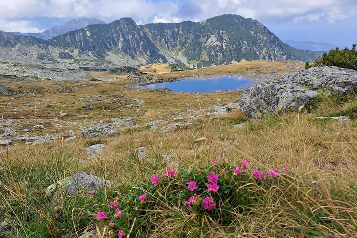 Explore Retezat National Park: Day Hikes, Glacial Lakes & Wildlife from Timișoara photo 2