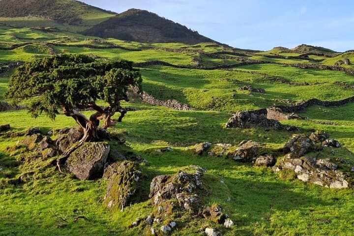 Pico Island Highlights: Private Full-Day Tour with Optional Wine Tasting photo 6