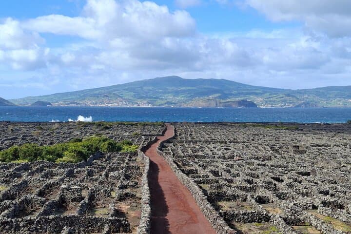 Pico Island Highlights: Private Full-Day Tour with Optional Wine Tasting photo 4