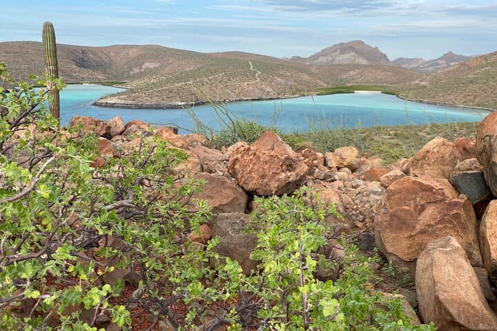 Hike Mirador Balandra: 4.8 km Coastal Overlook from La Paz photo 2