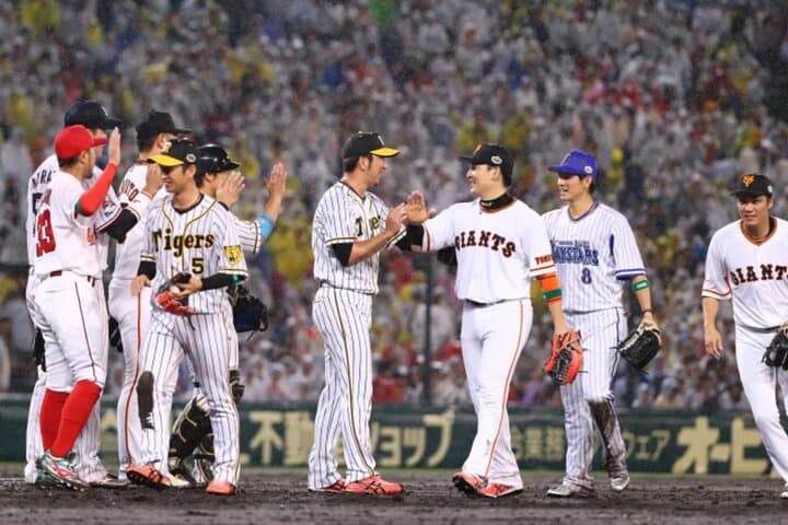 Yomiuri Giants Game Experience at Tokyo Dome — Fan Guide & Practical Tips photo 6