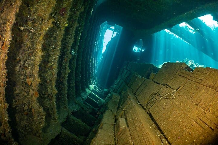 El Gouna Two‑Dive Scuba Trip: Red Sea Day Boat from Abydos Harbor photo 4