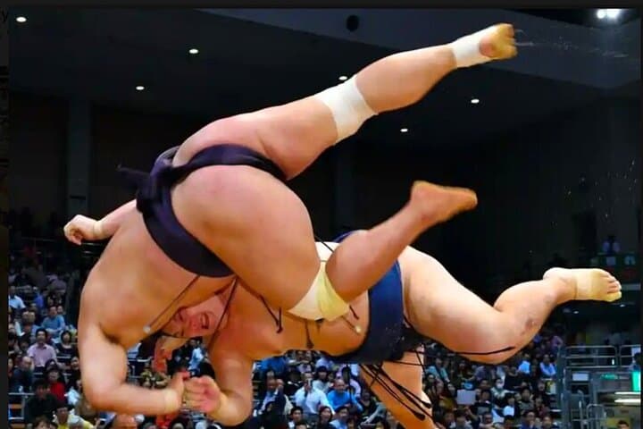 Inside Tokyo's Grand Sumo Tournament: Guide to Attending a Honbasho
