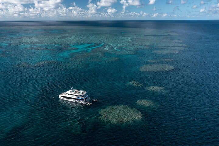 Full-Day Snorkel at Bait Reef — Great Barrier Reef from Hamilton Island photo 2