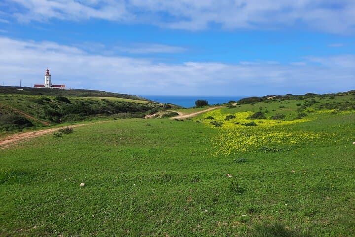 Serra da Arrábida Small-Group Tour from Lisbon — Cliffs, Caves & Seafood photo 2