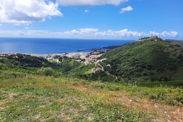 Serra da Arrábida Small-Group Tour from Lisbon — Cliffs, Caves & Seafood photo 6