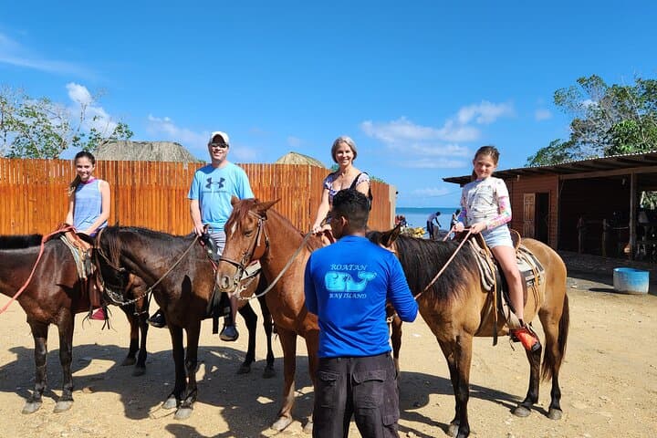 Roatán Adventure Combo: Horseback, ATV & Jungle Zipline in One Day photo 3