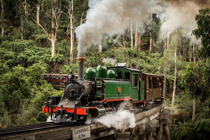 Puffing Billy to Phillip Island: Steam Train Ride and Penguin Parade Day Tour
