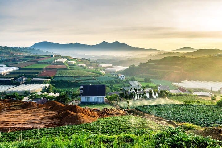 Da Lat Sunrise & Cloud Hunting Tour to Cau Dat Tea Hills photo 6