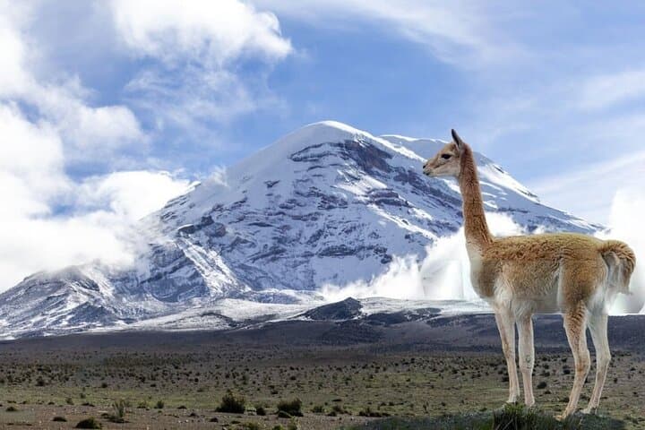 Between the Clouds: Journey to Chimborazo — Day Trip from Quito photo 2