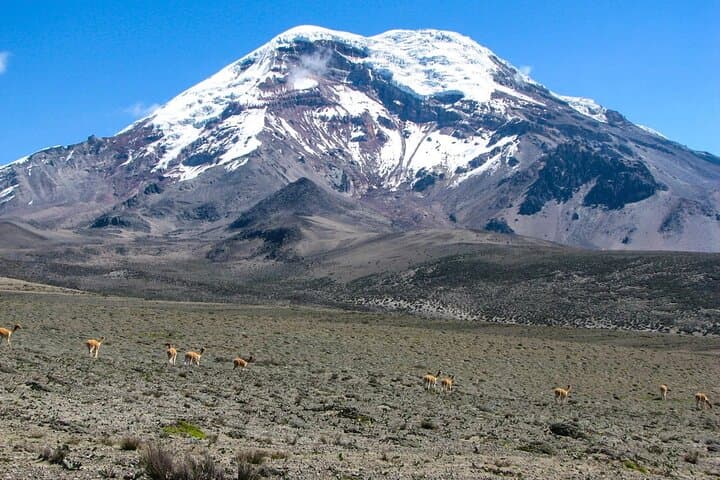 Between the Clouds: Journey to Chimborazo — Day Trip from Quito photo 4