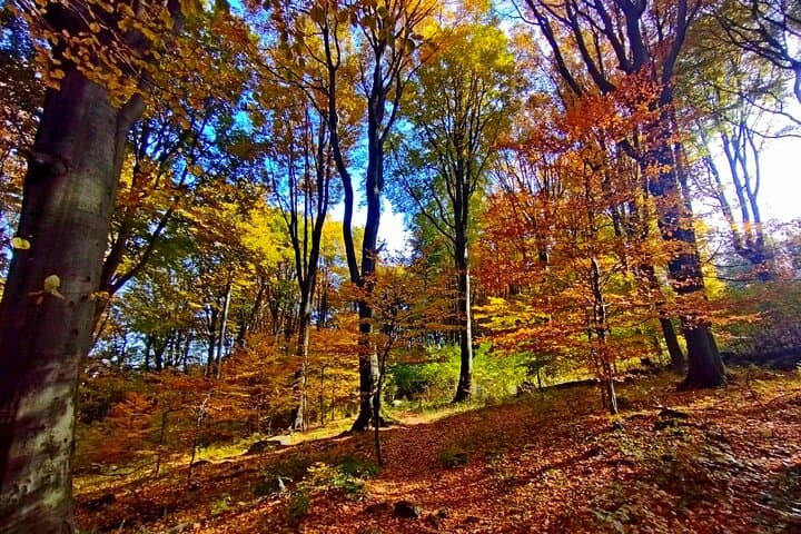 Day Hike to Kékes: Conquer Hungary's Highest Peak from Budapest photo 6