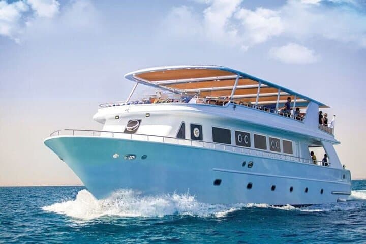 Hurghada Dolphin House Snorkel Trip: Dolphins, Coral Reefs & Lunch photo 2
