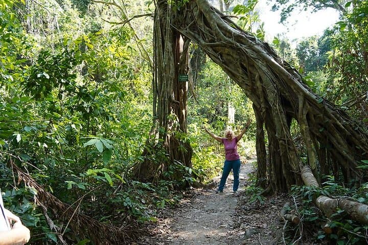 Cat Ba Trekking and Kayaking: 3-Day Lan Ha Bay Adventure photo 4