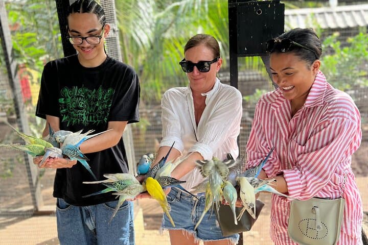 Montego Bay Exotic Bird Farm: Feed, Hold & Photograph Tropical Parrots photo 5