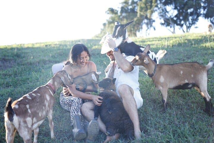 Kauai Baby Farm Animal Experience & Micro Dairy Immersion photo 6