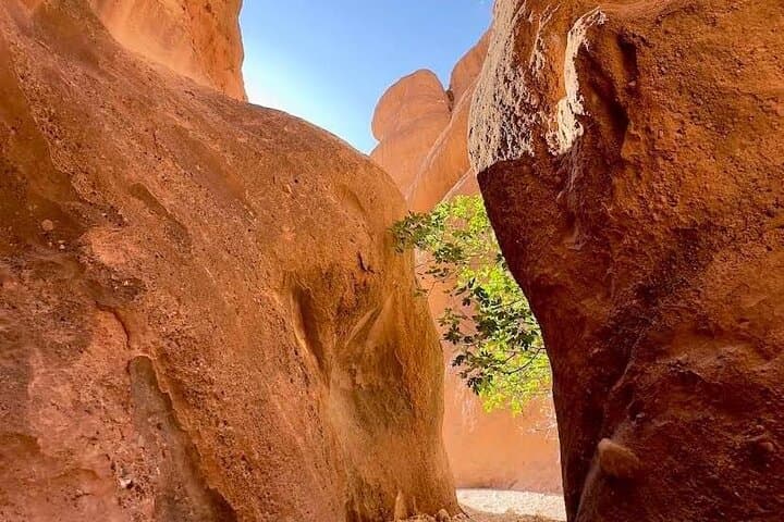Monkey Fingers Canyon Hike — Private Guided Trek in Dades Valley photo 2