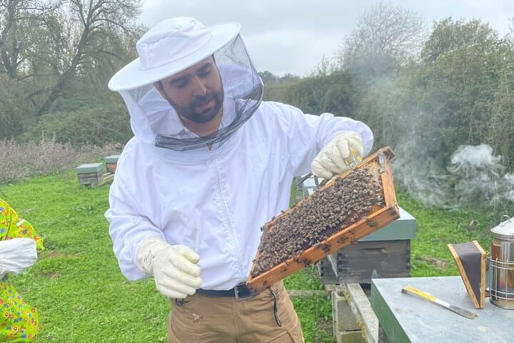 Evora Apiary Visit: Guided Beekeeping Tour and Honey Tasting photo 4