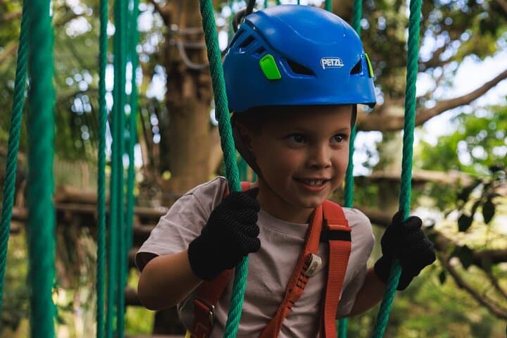 Coffs Harbour Junior Ropes Course: 2.5-Hour Treetop Adventure for Ages 3–7 photo 3