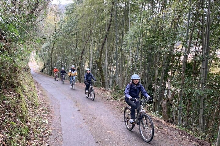 Shimanto River Train and Bike Tour: Japan’s Undammed River Journey photo 3