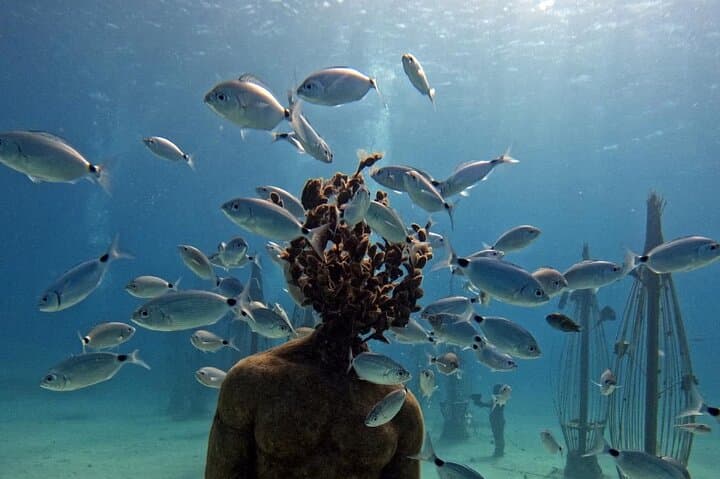 Musan Scuba Diving Private Adventure at Ayia Napa — Learn to Dive Among 90 Underwater Statuary photo 4