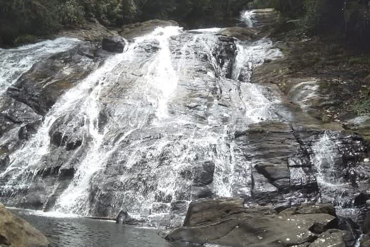 Sinharaja Rain Forest Waterfall Tour: Day Trip from Hikkaduwa photo 3
