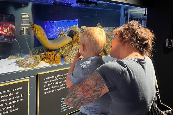 Explore Parque Explora and Medellín by Metro Cable: Interactive Science, Aquariums & Urban Transformation photo 2
