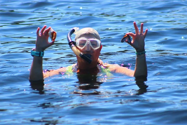 St. Andrews Dolphin Snorkel Tour: Guided Snorkeling & Dolphin Watching in Panama City Beach photo 1