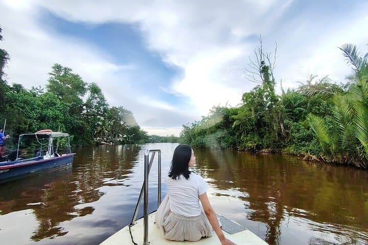 Bongawan River Cruise: Proboscis Monkeys, SkyMirror & Fireflies from Kota Kinabalu photo 3