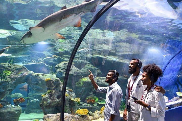 Odysseo Oceanarium Port Louis — Indian Ocean Marine Exhibits & Conservation photo 2