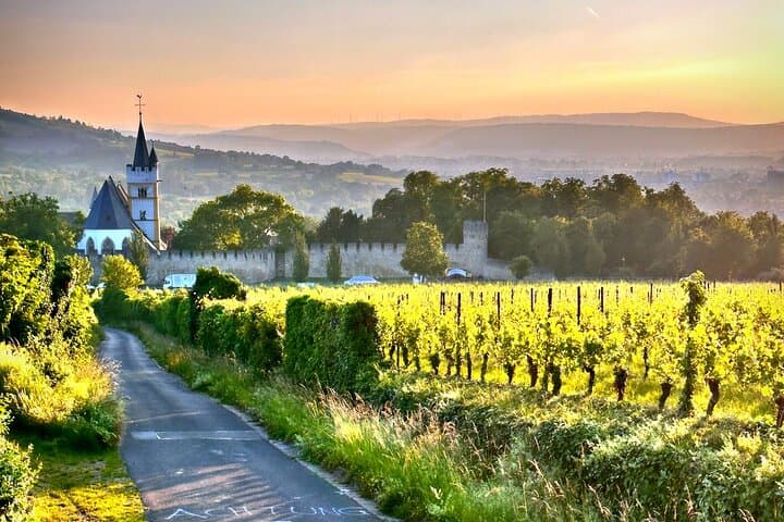 Christmas Wine Tour on the Rhine: Rheingau & Rheinhessen Tastings from Mainz
