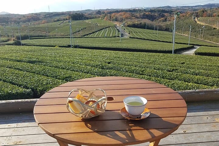 Fujikawachi Tea Fields Walking Tour: Learn Yamaguchi Tea with Local Farmers photo 5