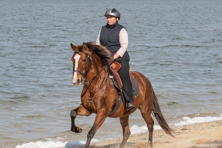 Private Horseback Riding on the Beach near Setúbal: Pine Forests, Salt Marshes and Atlantic Gallops photo 2