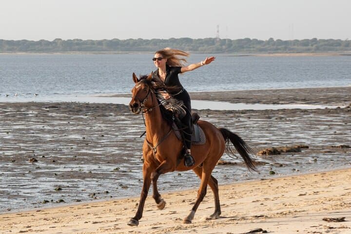 Private Horseback Riding on the Beach near Setúbal: Pine Forests, Salt Marshes and Atlantic Gallops