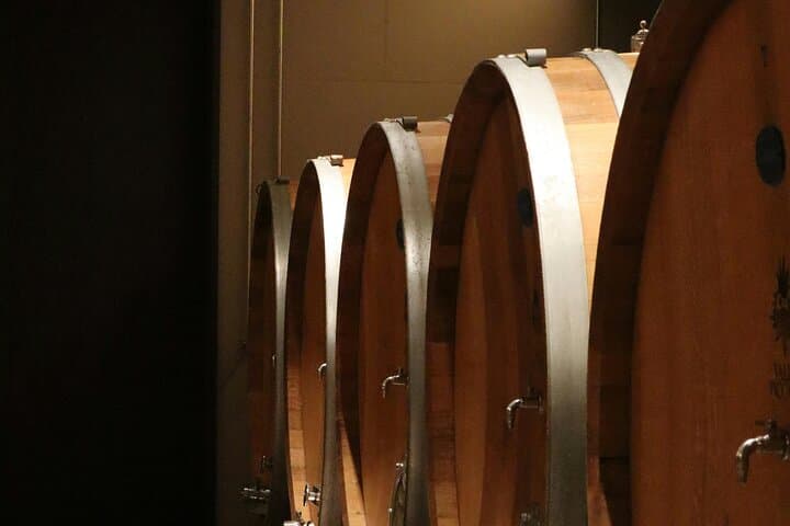 Five-Day Dream Wine Tour from Athens — Nemea, Delphi & Evia Wineries photo 6