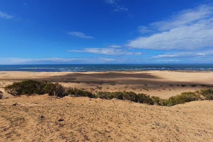 Essaouira Quad Adventure: Dunes, Forests & Wild Atlantic Beaches photo 2