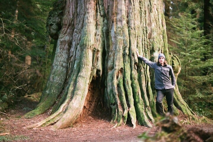 Walk Among Vancouver's Ancient Trees — Stanley Park Walking Tour photo 2