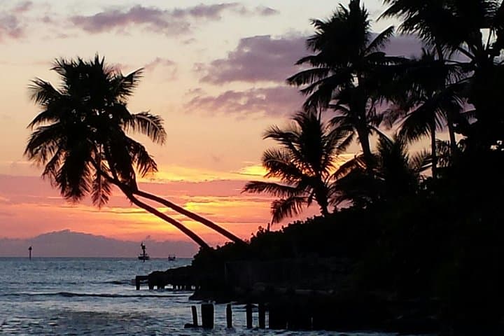 Private Naples Sunset & Keewaydin Beach Charter — Exclusive Boat Tour Guide photo 3
