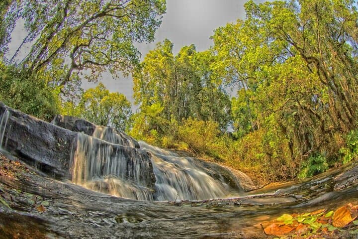 Northern Malawi Safari: Nyika Plateau to Makuzi Beach — 7-Day Wildlife & Lake Adventure photo 4