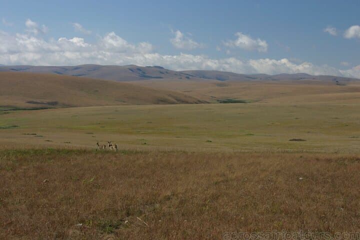 Northern Malawi Safari: Nyika Plateau to Makuzi Beach — 7-Day Wildlife & Lake Adventure photo 5