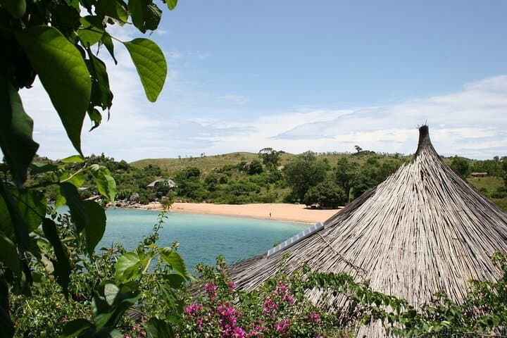Northern Malawi Safari: Nyika Plateau to Makuzi Beach — 7-Day Wildlife & Lake Adventure photo 6